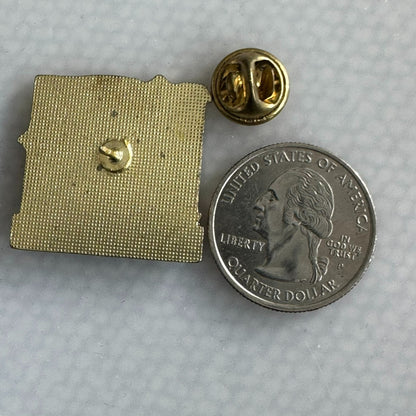 Vintage Branson Missouri Souvenir Lapel Pin MO
