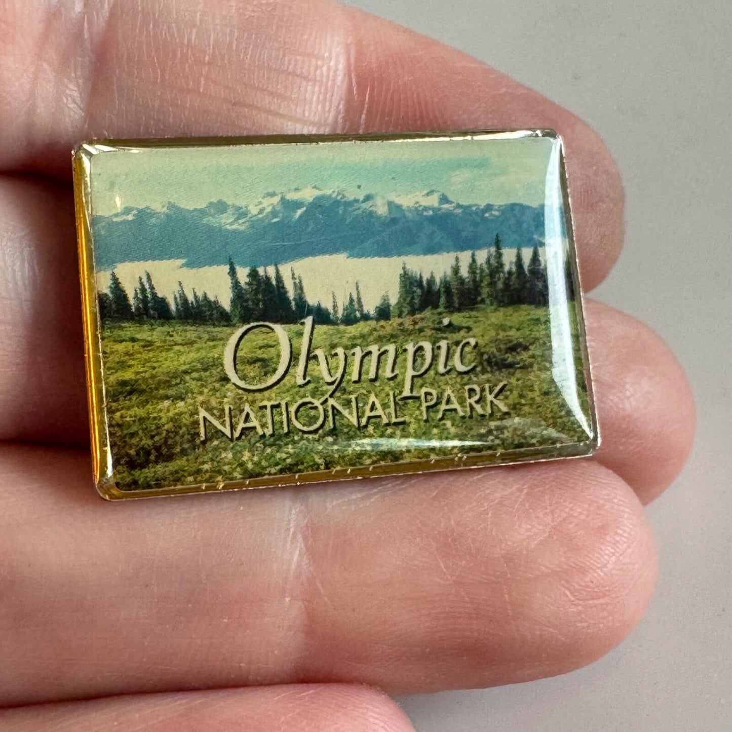 Vintage Olympic National Park Washington State Photo Realistic Lapel Pin 