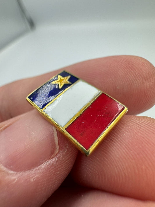 Very Nice Acadian Flag Enamel Lapel Pin Acadia