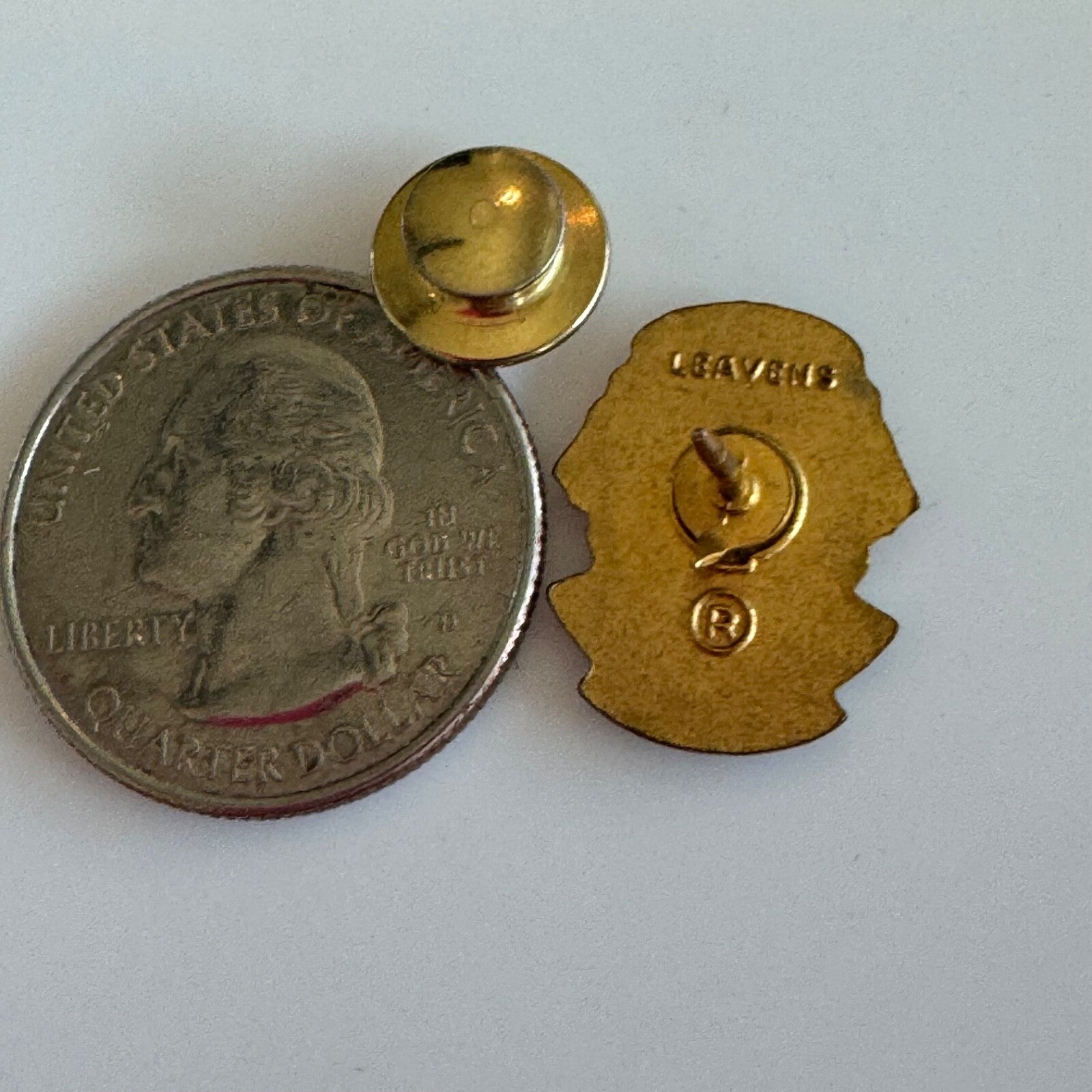 Vintage Lions Club Zone Chairman 1980-81 Lapel Pin