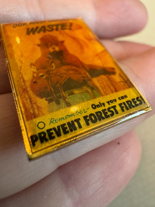 Vintage OUR MOST SHAMEFUL WASTE! Smokey the Bear Lapel Pin Deer