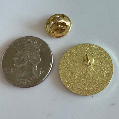 Connecticut Children's Medical Center Lapel Pin Hospital Childrens RARE