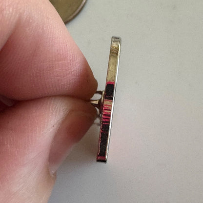 Inspect to Protect Clemson University Invasive Species Lapel Pin RARE