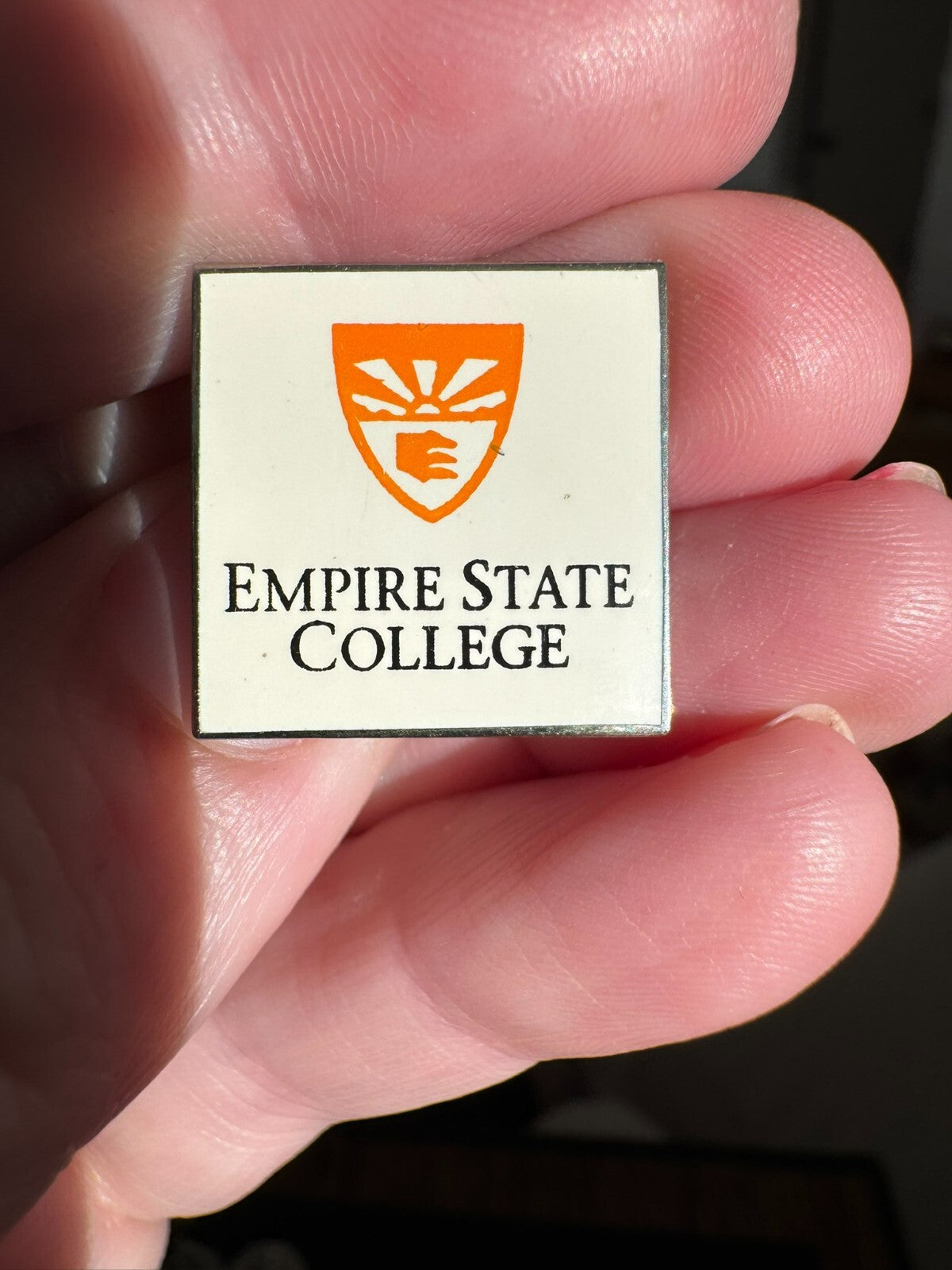 Empire State College Lapel Pin