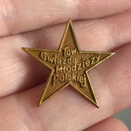 ANTIQUE STAR OF POLISH YOUTH SOCIETY PIN-GWIAZDA MLODZIEZY POLSKIEJ LODGE RARE