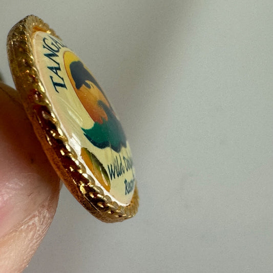 Vintage Tangalooma Wild Dolphin Resort Australia Enamel Souvenir Pin