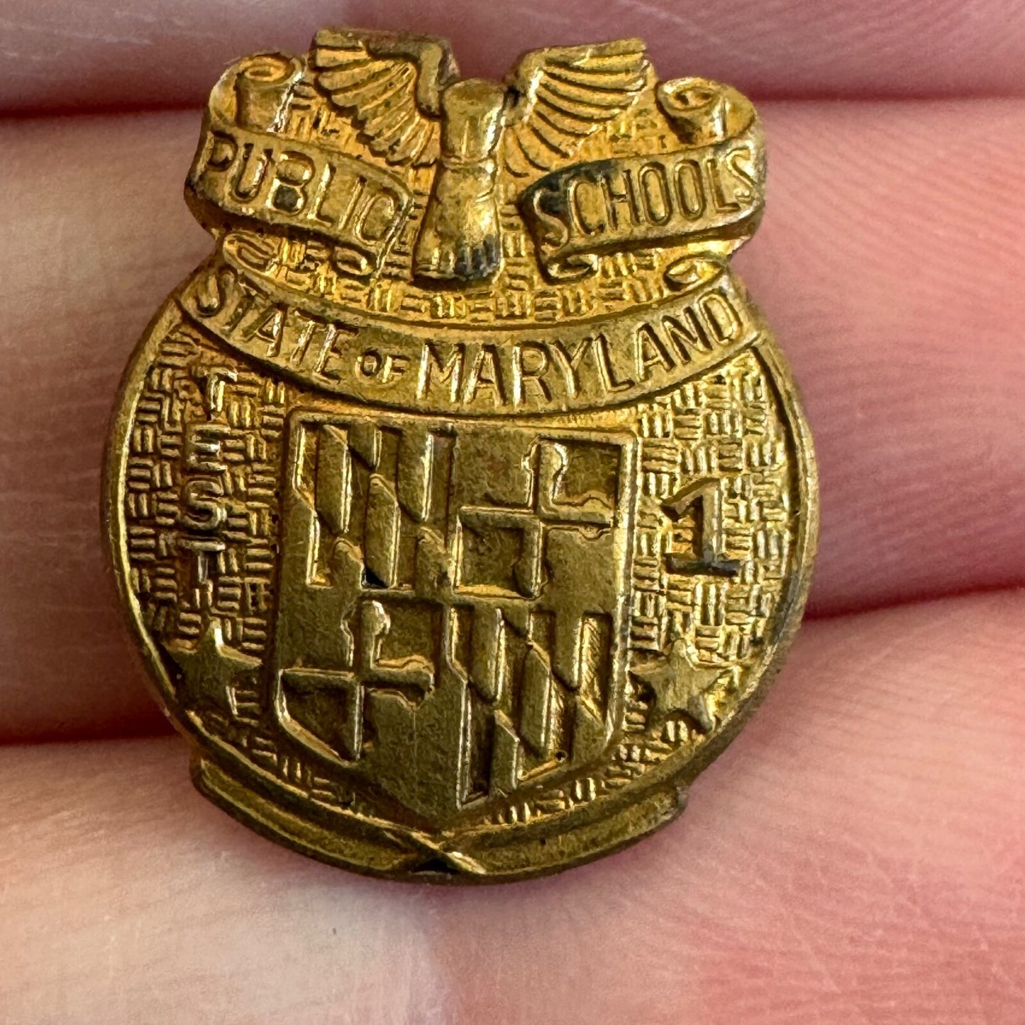 Vintage State of Maryland Public Schools Test 1 Lapel Pin Gold Tone