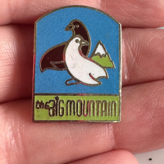 Vintage The Big Mountain Ski Skiing Lapel Pin Whitefish Montana 