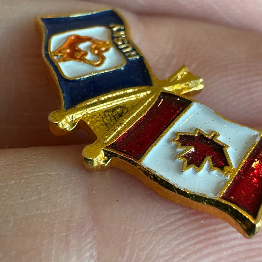 Vintage Canadian Flag Husky Car Truck Stop Friendship Flag Enamel Lapel Pin