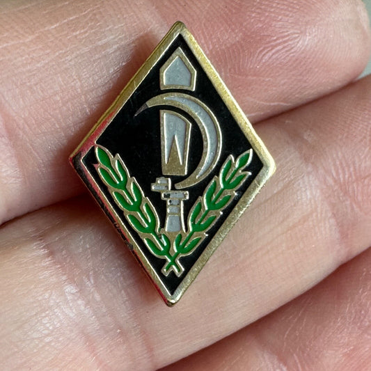 Vintage Israeli Defense Force Nahal Command Lapel Pin 