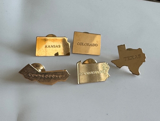 Vintage Gold Tone State Shaped Scatter Pin Tie Tack