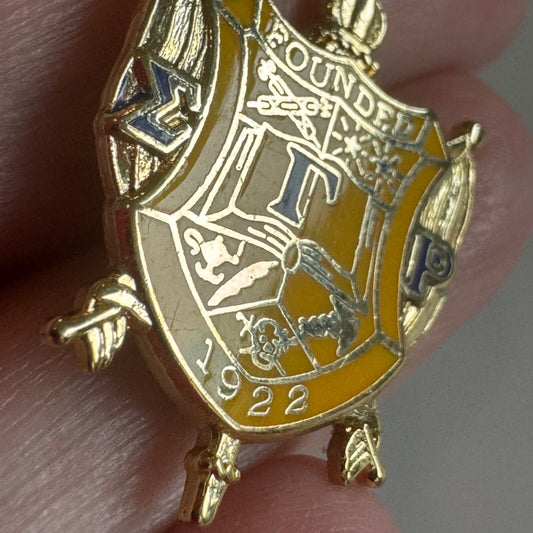 Vintage Sigma Gamma Rho Coat of Arms Crest Shield Enamel Lapel Pin