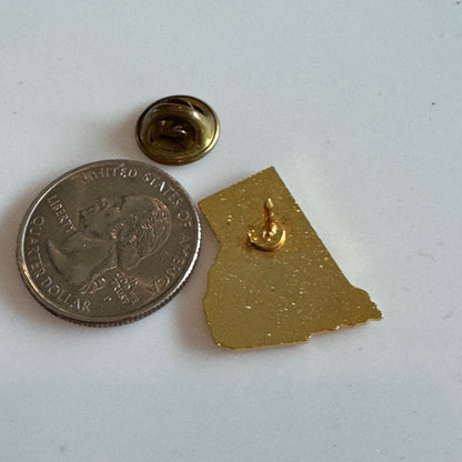 Vintage Rhode Island Souvenir Tourist Lapel Pin Red Rooster State Shaped