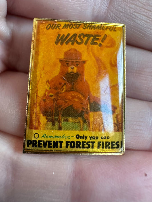 Vintage OUR MOST SHAMEFUL WASTE! Smokey the Bear Lapel Pin Deer