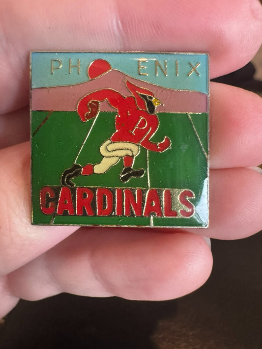 Arizona Cardinals Lapel Pin Vintage - Arizona's Team