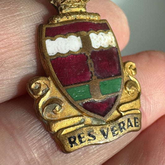 WW2 US ARMY MILITARY 205TH COAST ARTILLERY REGIMENT DISTINCTIVE DUI DI CREST PIN