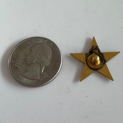 ANTIQUE STAR OF POLISH YOUTH SOCIETY PIN-GWIAZDA MLODZIEZY POLSKIEJ LODGE RARE