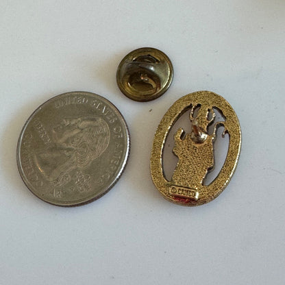Saint Patrick “Pray for Us” Oval Catholic Brass Tone Pin St