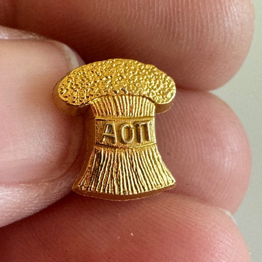Vintage Alpha Omicron Pi Pledge Pin New Member 