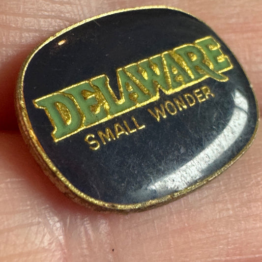 Vintage Delaware Small Wonder Souvenir Tourist Lapel Pin 