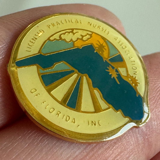 Vtg Licensed Practical Nurses Association of Florida Enamel Pin Healthcare Badge