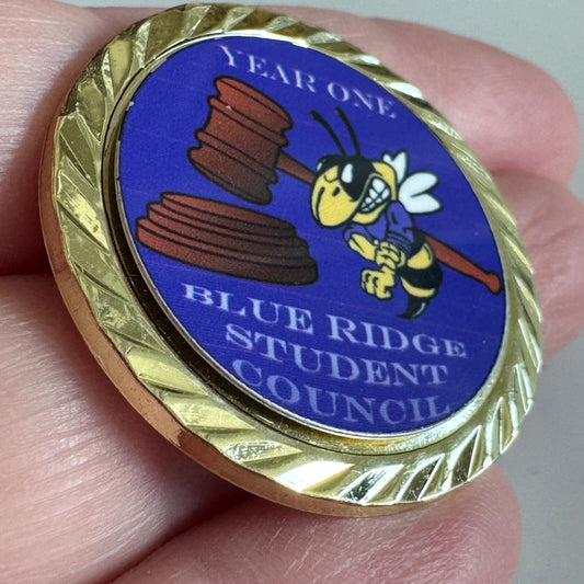 Blue Ridge Student Council Pin Hornet High School Yellowjackets High School
