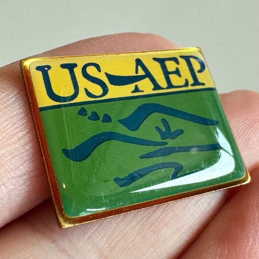 Vtg USAID United States-Asia Environmental Program US-AEP Pin