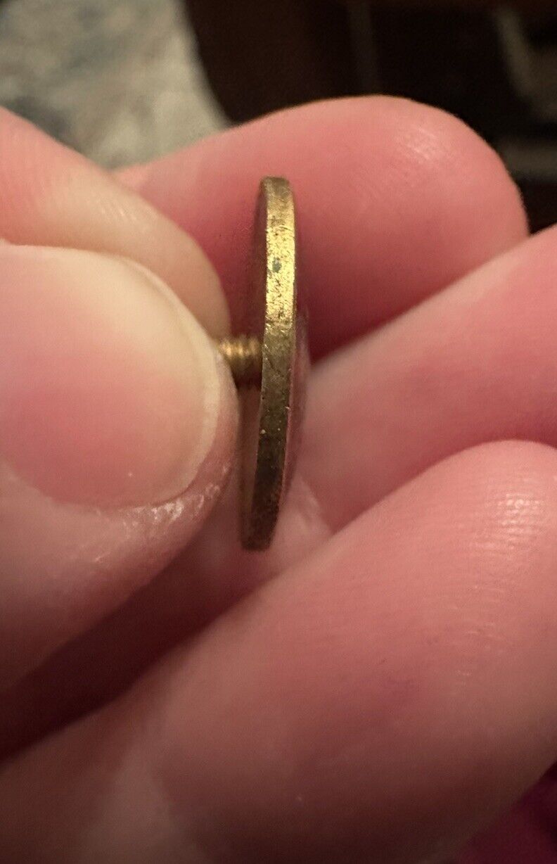 American Institute of Mining Metallurgical & Petroleum Engineers Member Pin AIME