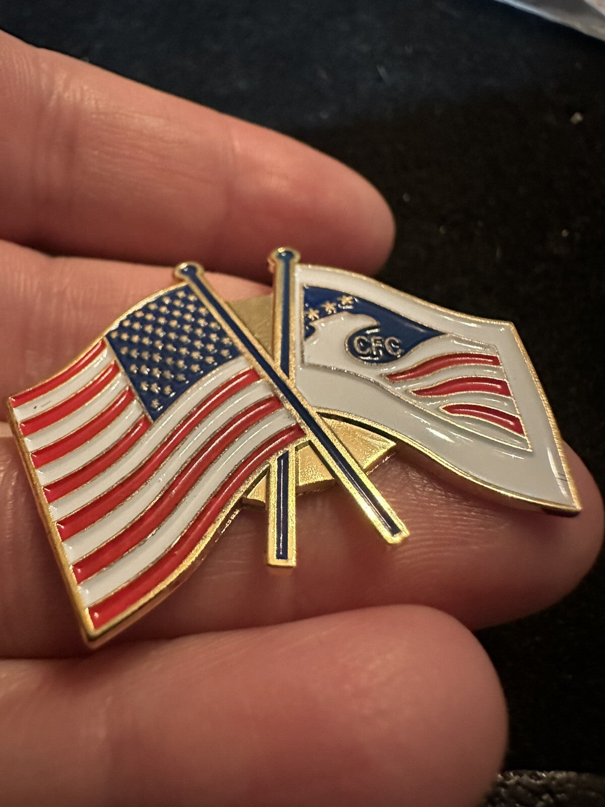 Gold Tone Combined Federal Campaign CFC Eagle Flag Logo Lapel Pin
