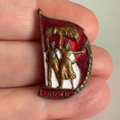 1950s USSR Soviet Russia VSHV All-Soviet Agricultural Exhibition Pin Badge BCXB