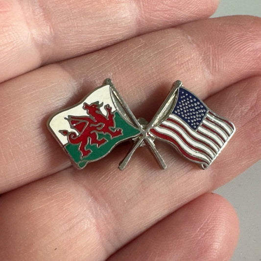 Vintage Wales United States Friendship Flag Lapel Pin Flags American Welsh