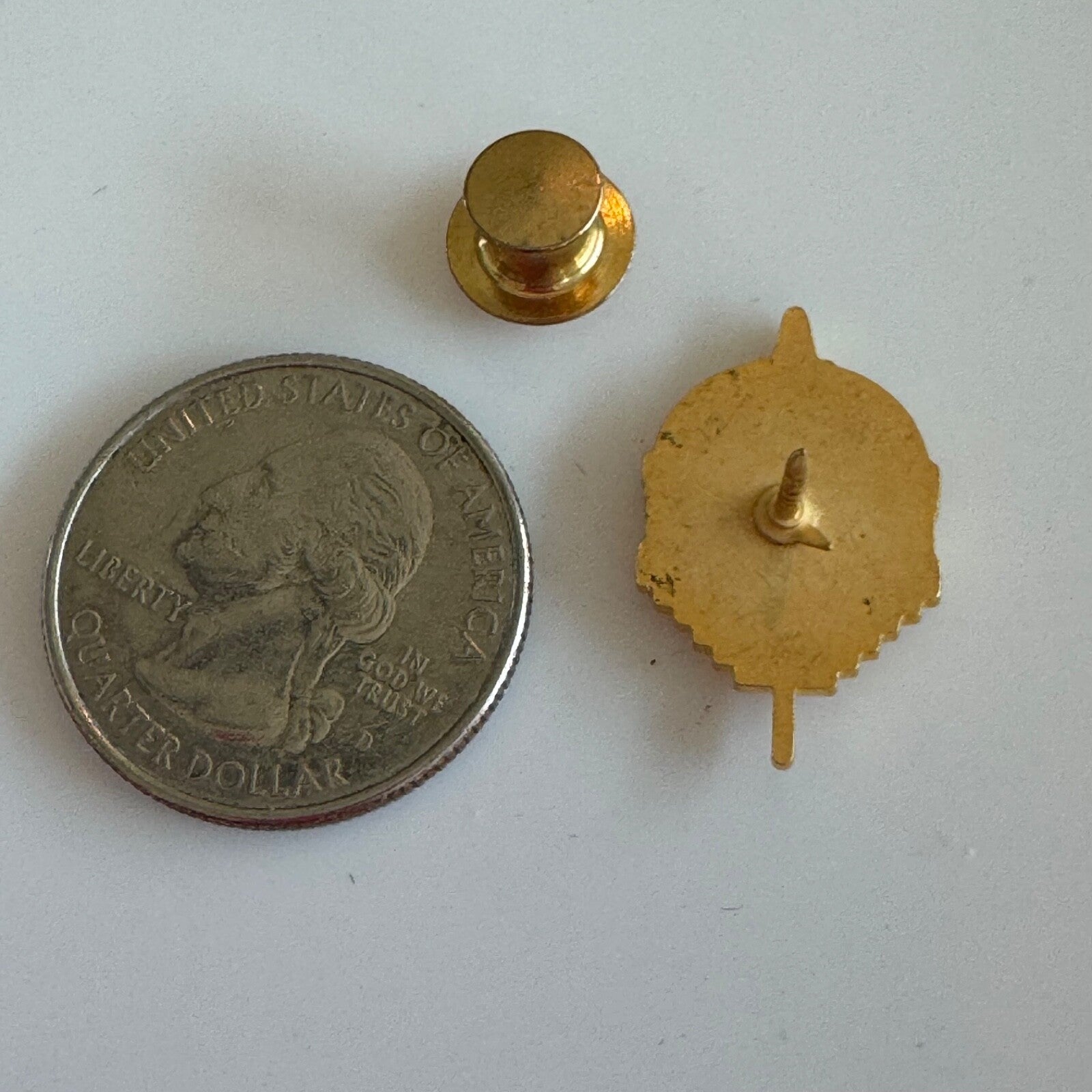 Pi Alpha Alpha Lapel Pin Honor Society Public Administration