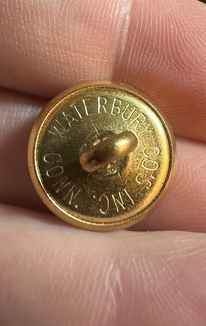 ALABAMA STATE SEAL BUTTON WATERBURY BUTTON CO GOLD TONE