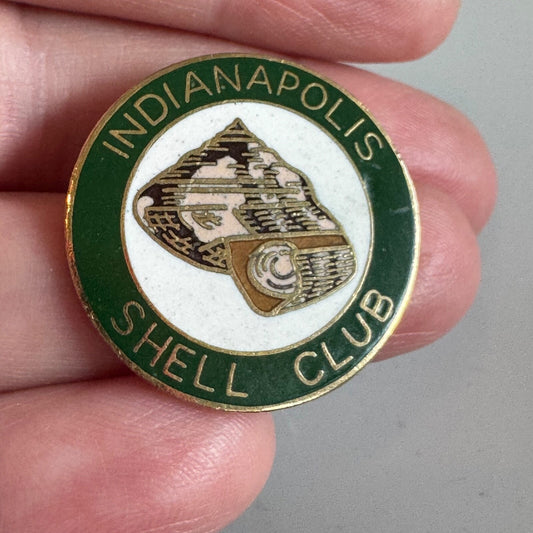 Vintage Indianapolis Shell Club Pin – Enamel Conch Collector Circle Badge RARE