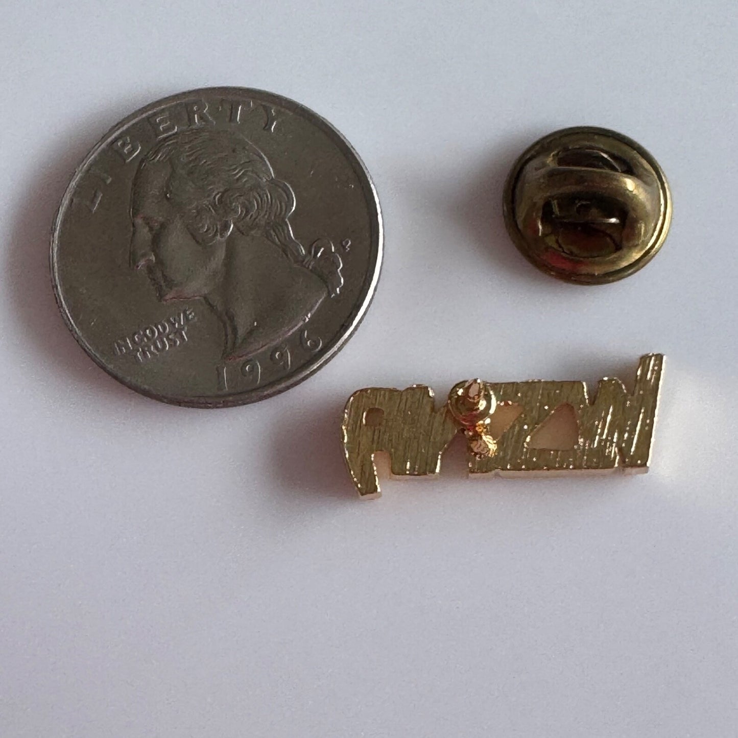 Vintage WSNA Washington State Nurses Association Lapel Pin Union