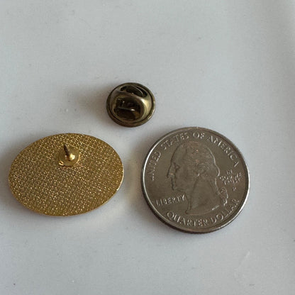 Washington D.C. USA Capitol Landmarks American Flag Pin 