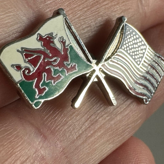 Vintage Wales United States Friendship Flag Lapel Pin Flags American Welsh