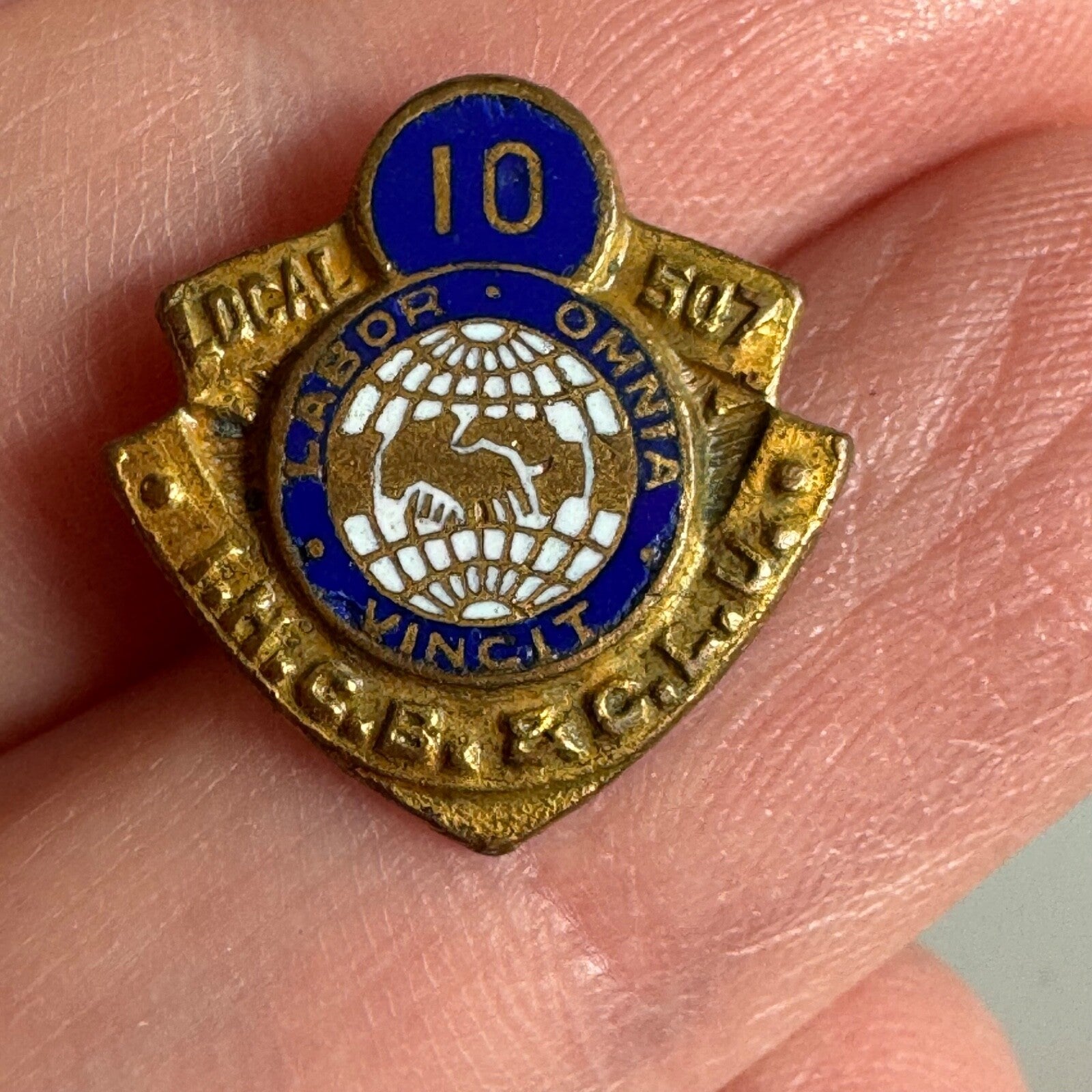 Vtg International Hod Carriers' Building & Common Laborers Union Local 507 Pin 