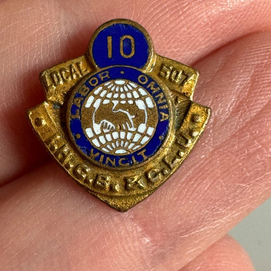 Vtg International Hod Carriers' Building & Common Laborers Union Local 507 Pin 