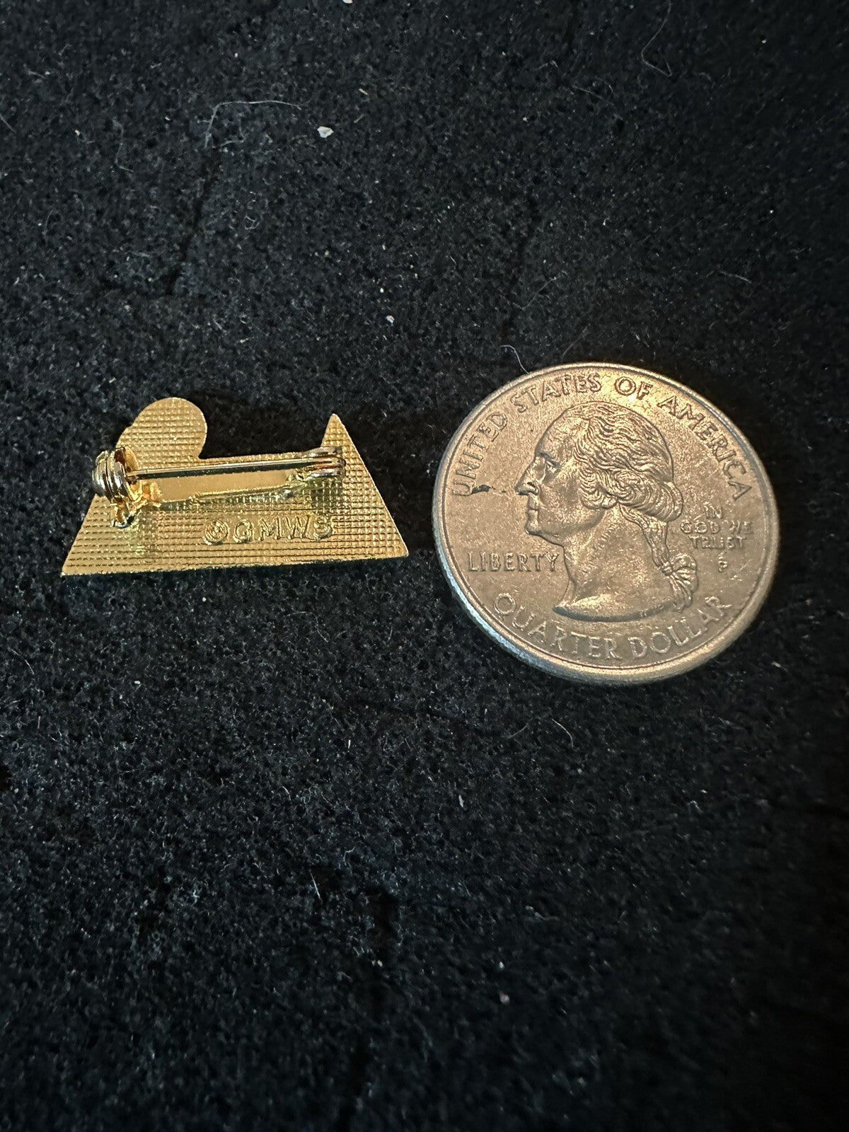 Alta Ski Area Utah Mountain Travel Souvenir Resort Lapel Pin