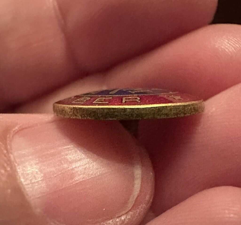 American Institute of Mining Metallurgical & Petroleum Engineers Member Pin AIME