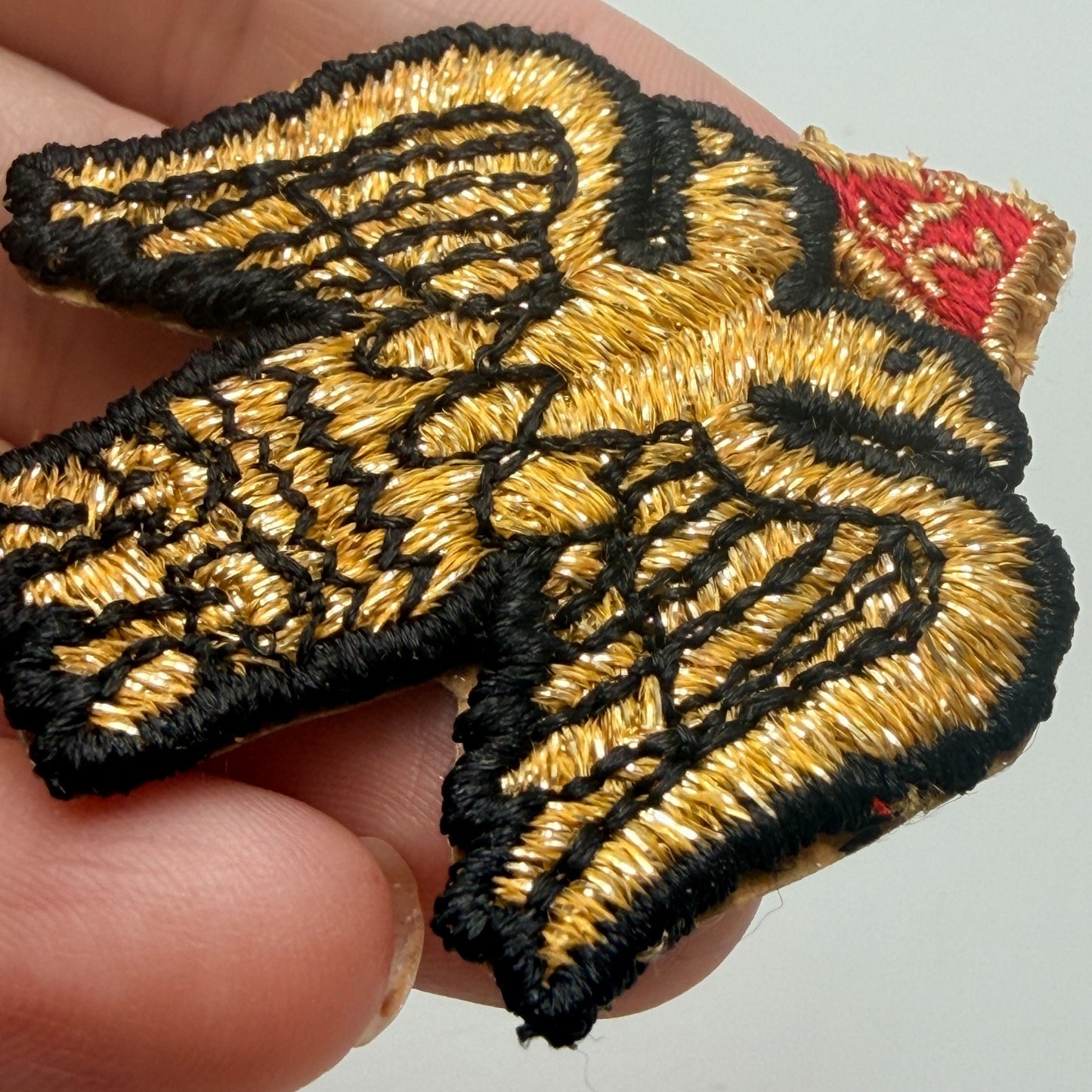 Image #3