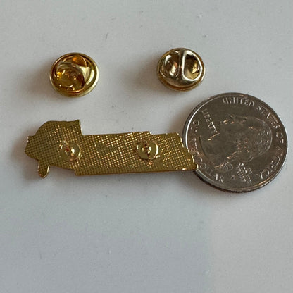 Vintage Tennessee State Shaped Raccoon Souvenir Tourist Lapel Pin 