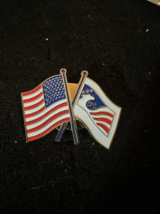 Gold Tone Combined Federal Campaign CFC Eagle Flag Logo Lapel Pin