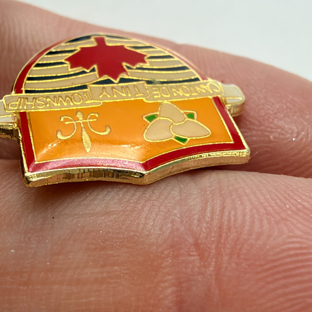 Image #5