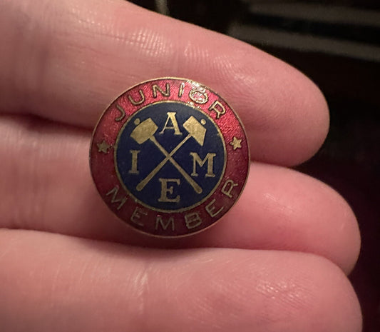 American Institute of Mining Metallurgical & Petroleum Engineers Member Pin AIME