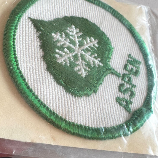 Vintage Aspen Colorado Ski Patch – Green Leaf & Snowflake Round Emblem