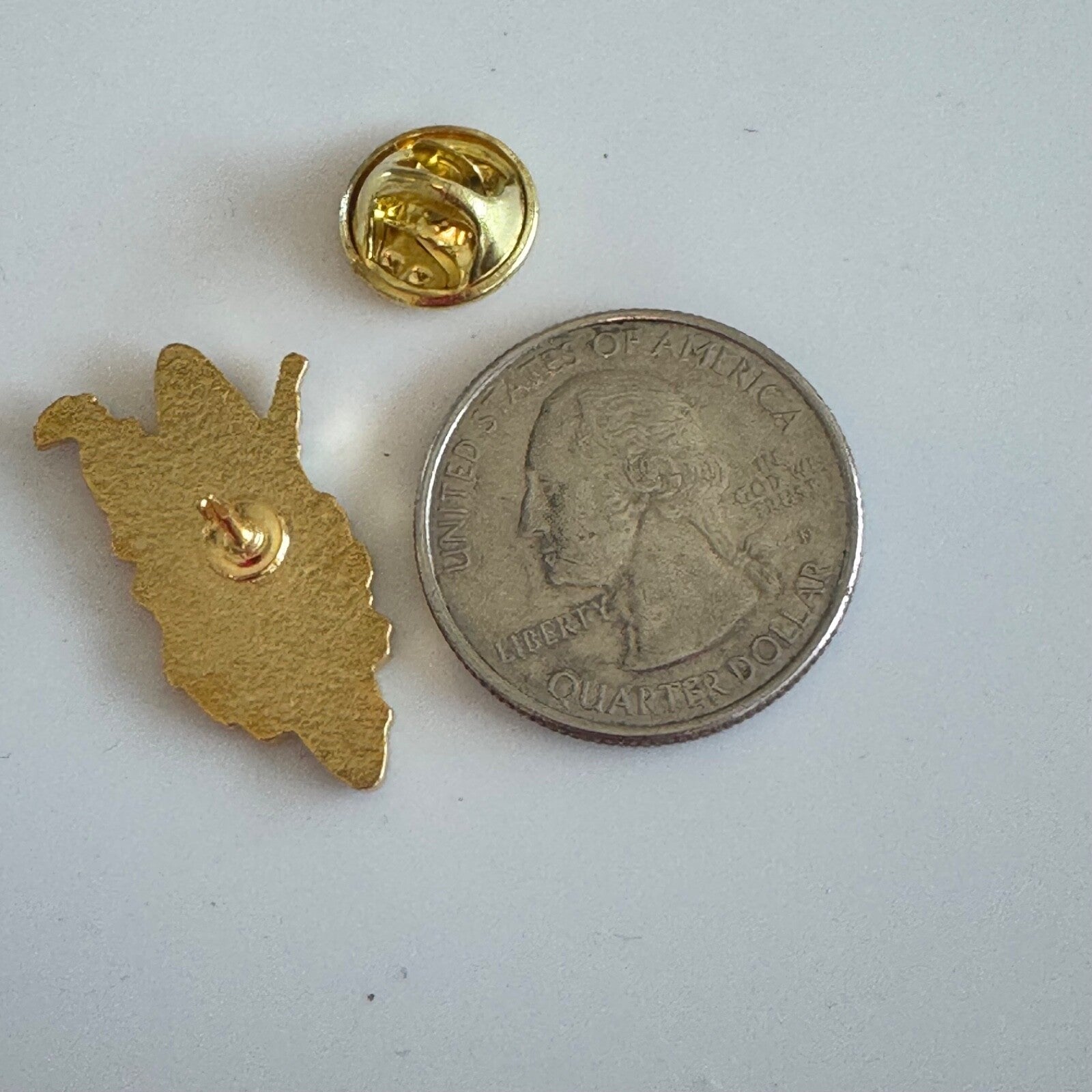 Vintage WVSTA Pin – West Virginia Science Teachers Association