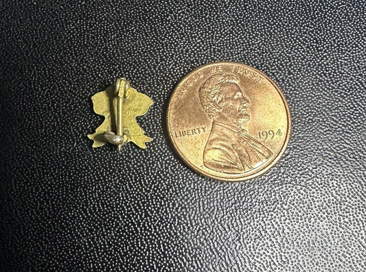 Antique FGS 1915 Lapel Pin Bastian Bros. Likely Frederick Gunn School