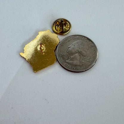 Wisconsin Badger Chapter American Red Cross Volunteer Enamel Pin State Shaped